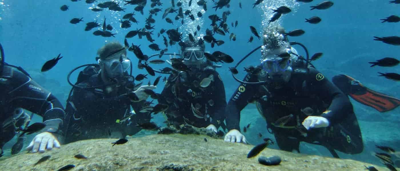 Leonardo Mediterranean Hotels & Resorts - DGR Scuba Diving