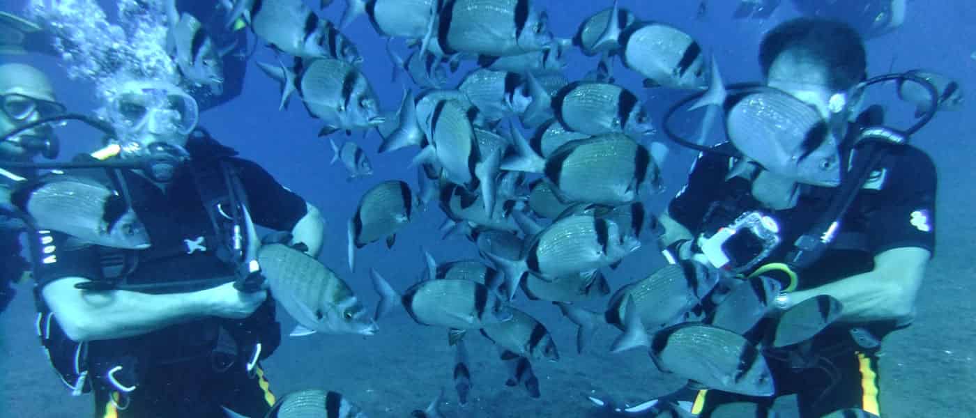 Leonardo Mediterranean Hotels & Resorts - DGR Scuba Diving