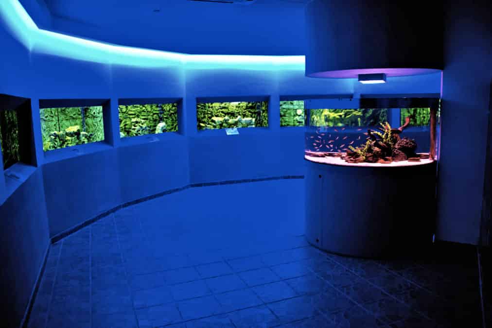 Leonardo Hotels & Resorts Mediterranean - oceanAquarium_02